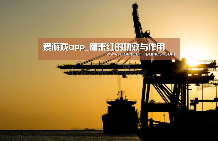 爱游戏app_雁来红的功效与作用