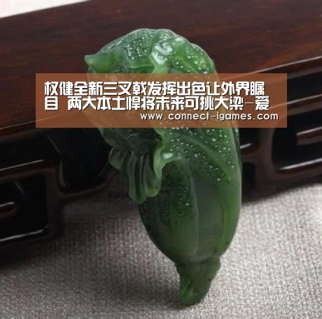 权健全新三叉戟发挥出色让外界瞩目 两大本土悍将未来可挑大梁-爱游戏体育直播